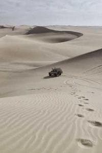 Oka Ananta Yogiswara