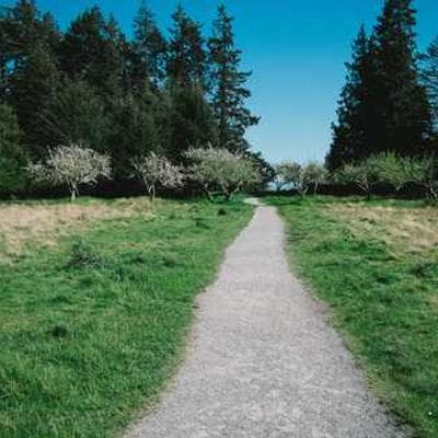 Action shot from a recent match.